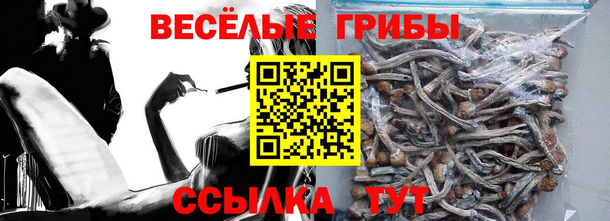 Галлюциногенные грибы Magic Shrooms  Вход с VPN  Губкин  Псилоцибиновые грибы Cubensis 