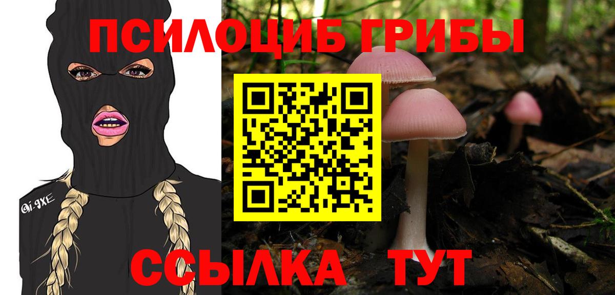 Галлюциногенные грибы мицелий Губкин